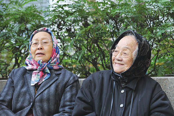 民事法律意见组曾就多项政府措施涉及的法律问题向决策局及部门提供意见，包括广东计划