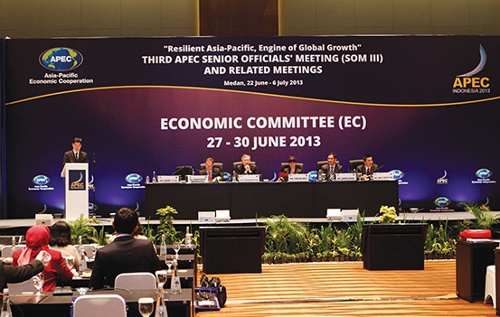 國際法律科的律師在印尼棉蘭亞太經合組織第三次高級官員會議期間舉行的經濟委員會工作坊上發言
