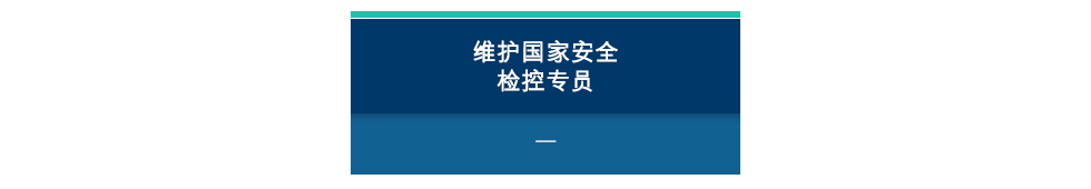 维护国家安全检控专员